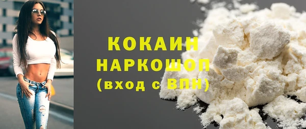 гидра Абаза