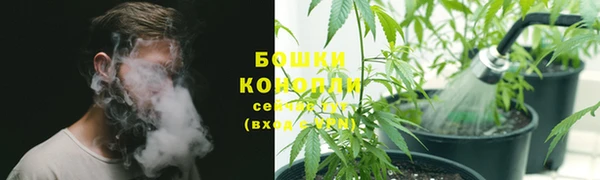 гидра Абаза