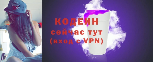 гидра Абаза