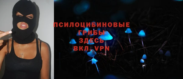шишки Абинск