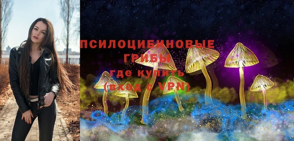 шишки Абинск