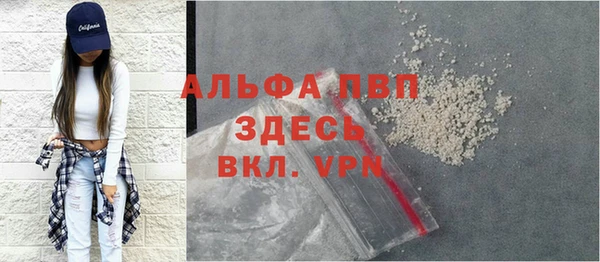 гидра Абаза