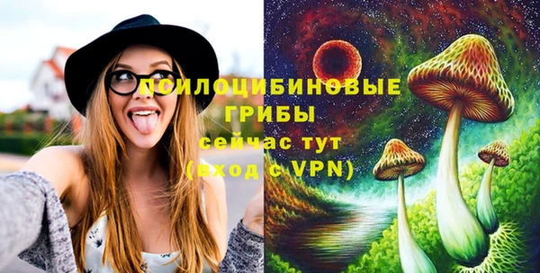 шишки Абинск