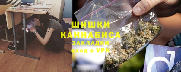 гидра Абаза