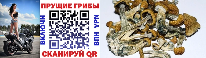 Галлюциногенные грибы ЛСД  Яранск 